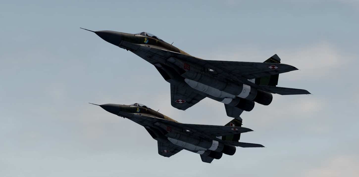 Polish government statement